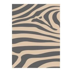 Safarica Safarimat Tenttapijt 270 X 300 Zebra Beige 5 Safarica Safarimat Tenttapijt 270 X 300 Zebra Beige -dewitschijndel winkel 139739 180 04
